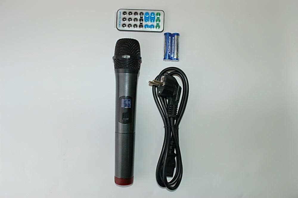 Караоке тонколона PS10H AntX