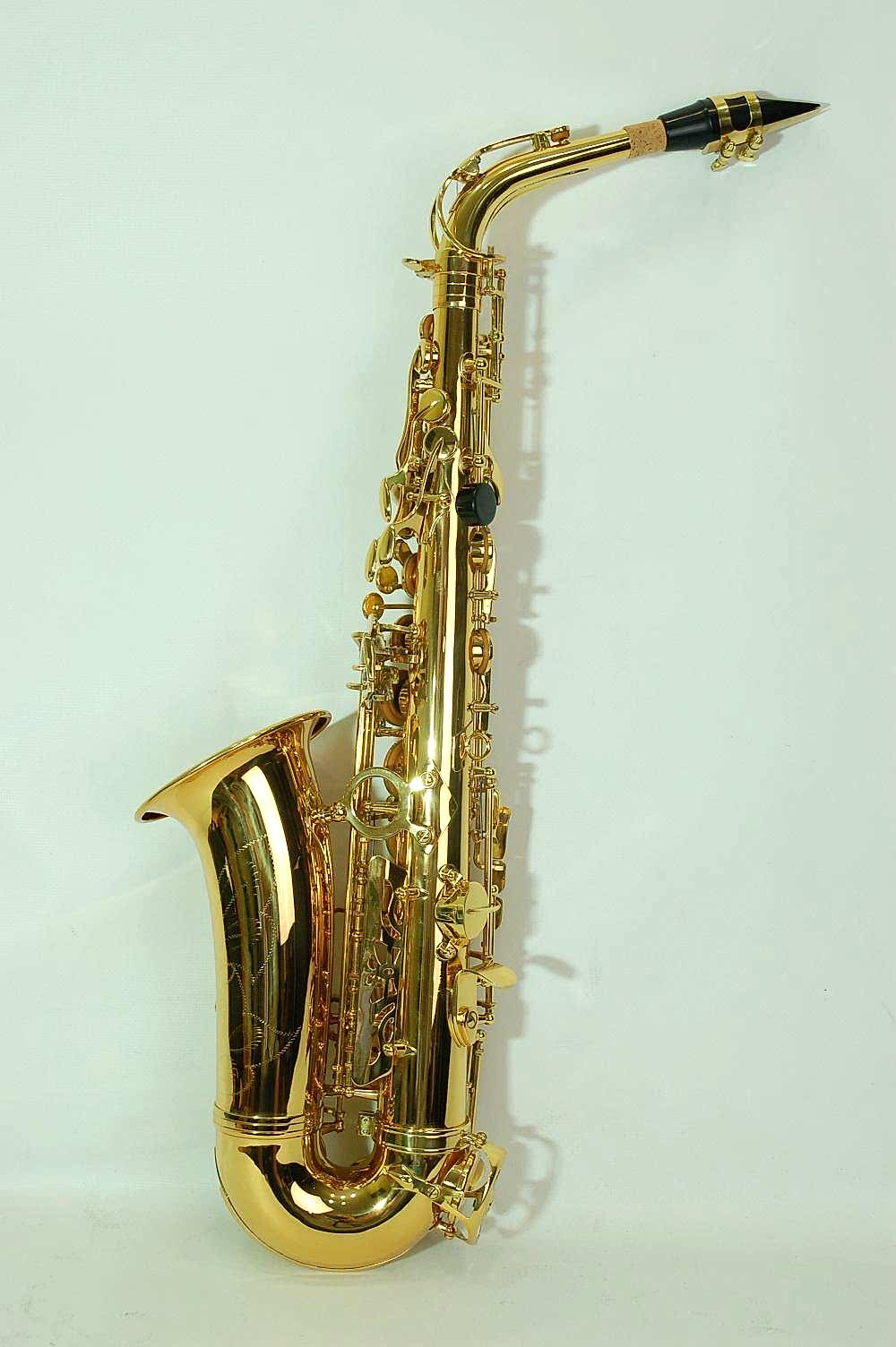 Алт саксофон SP1001G