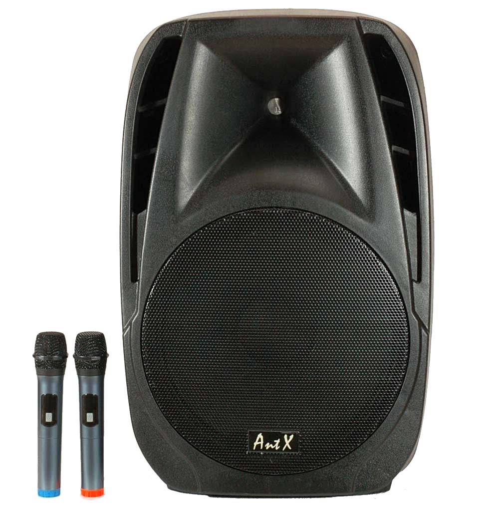 Караоке тонколона NJOY15-2U AntX