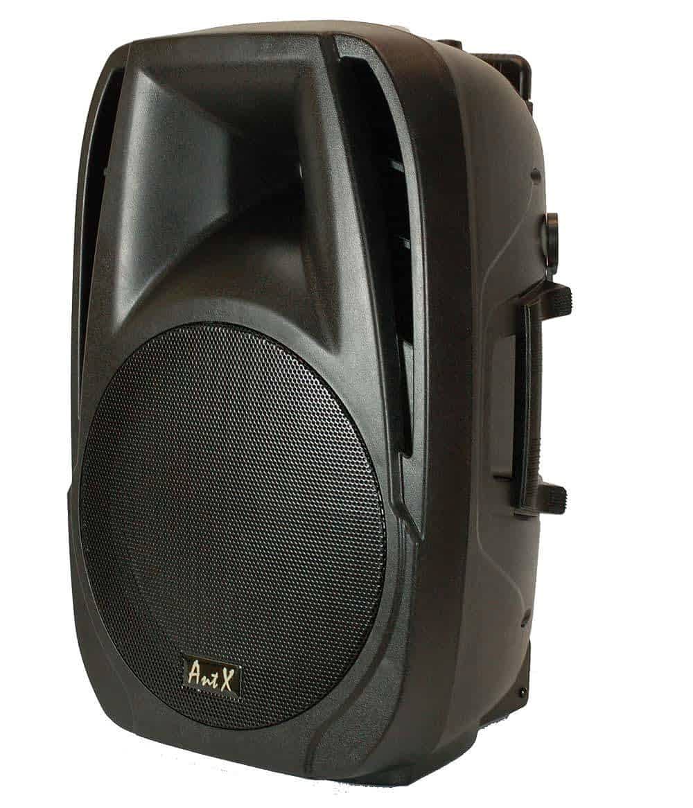 Караоке тонколона NJOY15-2U AntX